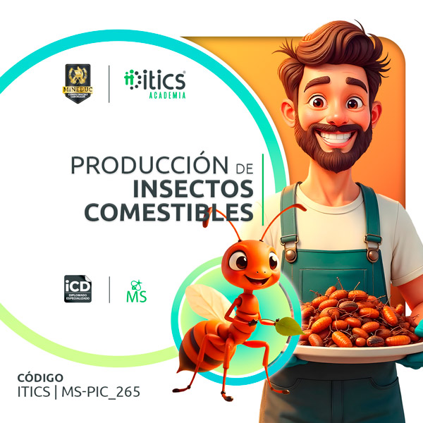 Producción de Insectos Comestibles