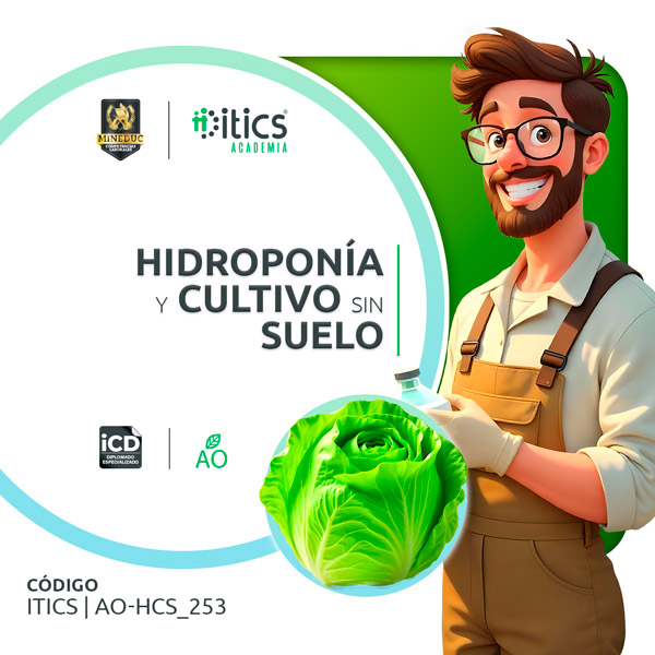 Hidroponía y Cultivo sin Suelo