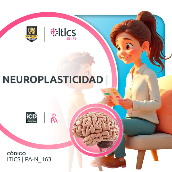 Neuroplasticidad