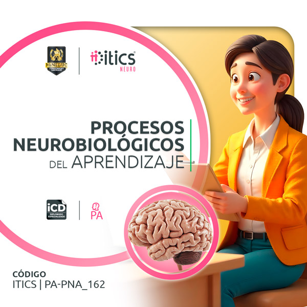 Procesos Neurobiológicos del Aprendizaje