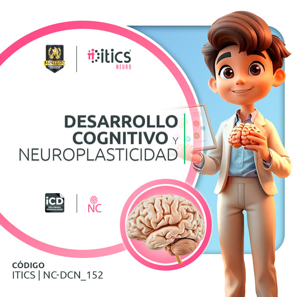 Desarrollo Cognitivo y Neuroplasticidad